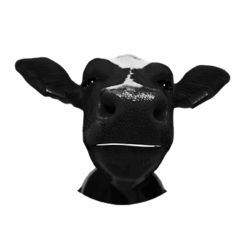 Image vache investisseur